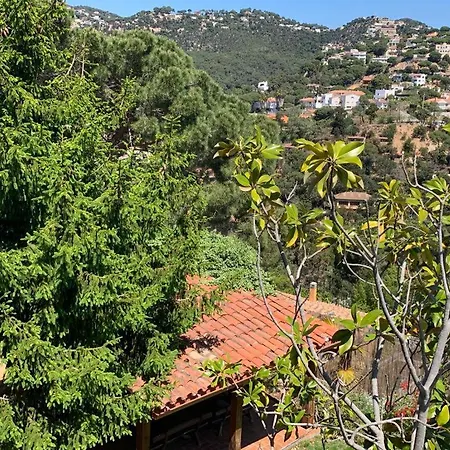 Casa Calma 1 * Girona